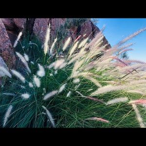 Meet your Posher, Kerry